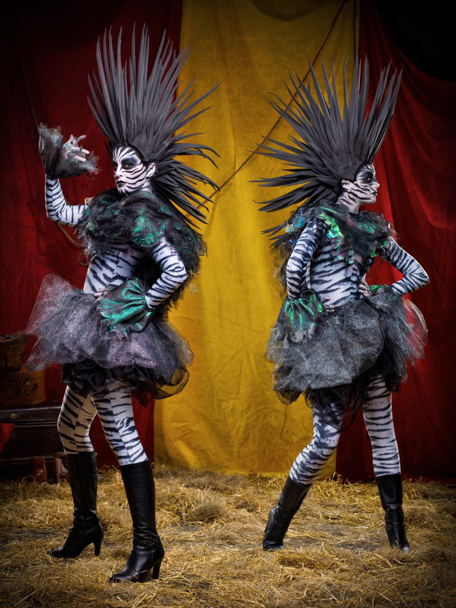 Female body painted zebra costumes for themed parties and fancy dress