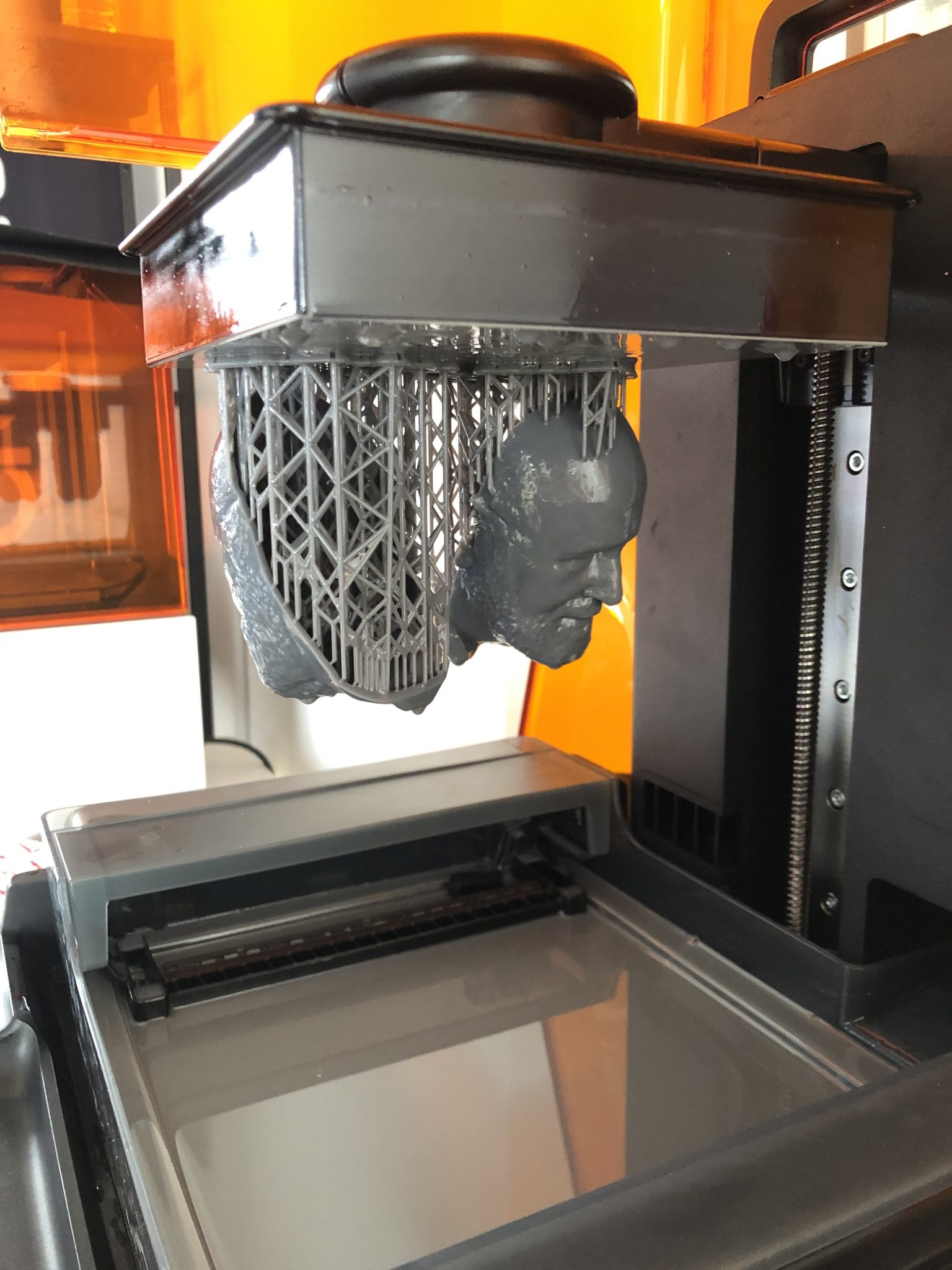 Resin_face_print_backface