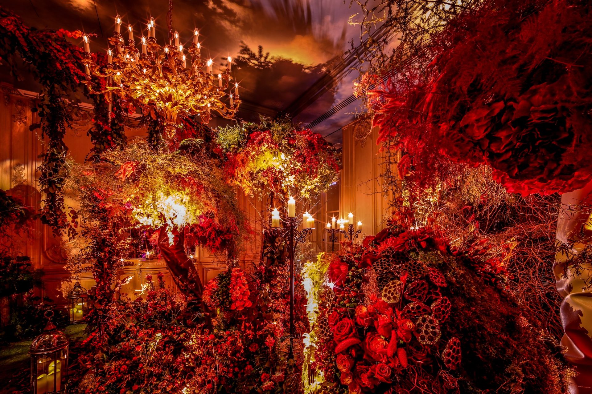 Autum enchanted forest party fairy Fantasia by Amie Bone Autum enchanted forest party fairy Fantasia by Amie Bone