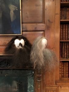 Hagrid and dumbledore wigs