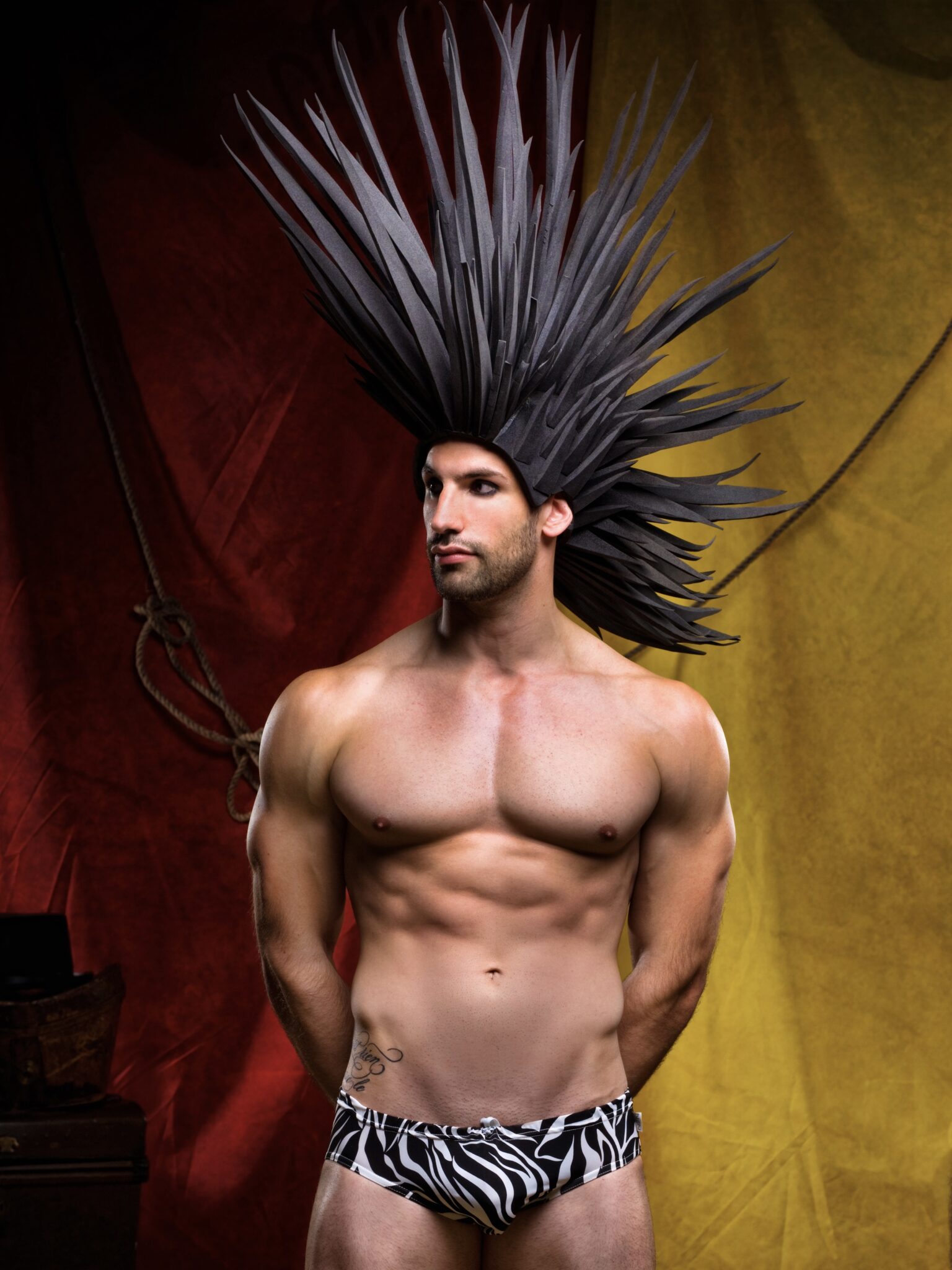 Zebra Male Model Circus Host Zebra Male Model Circus Host