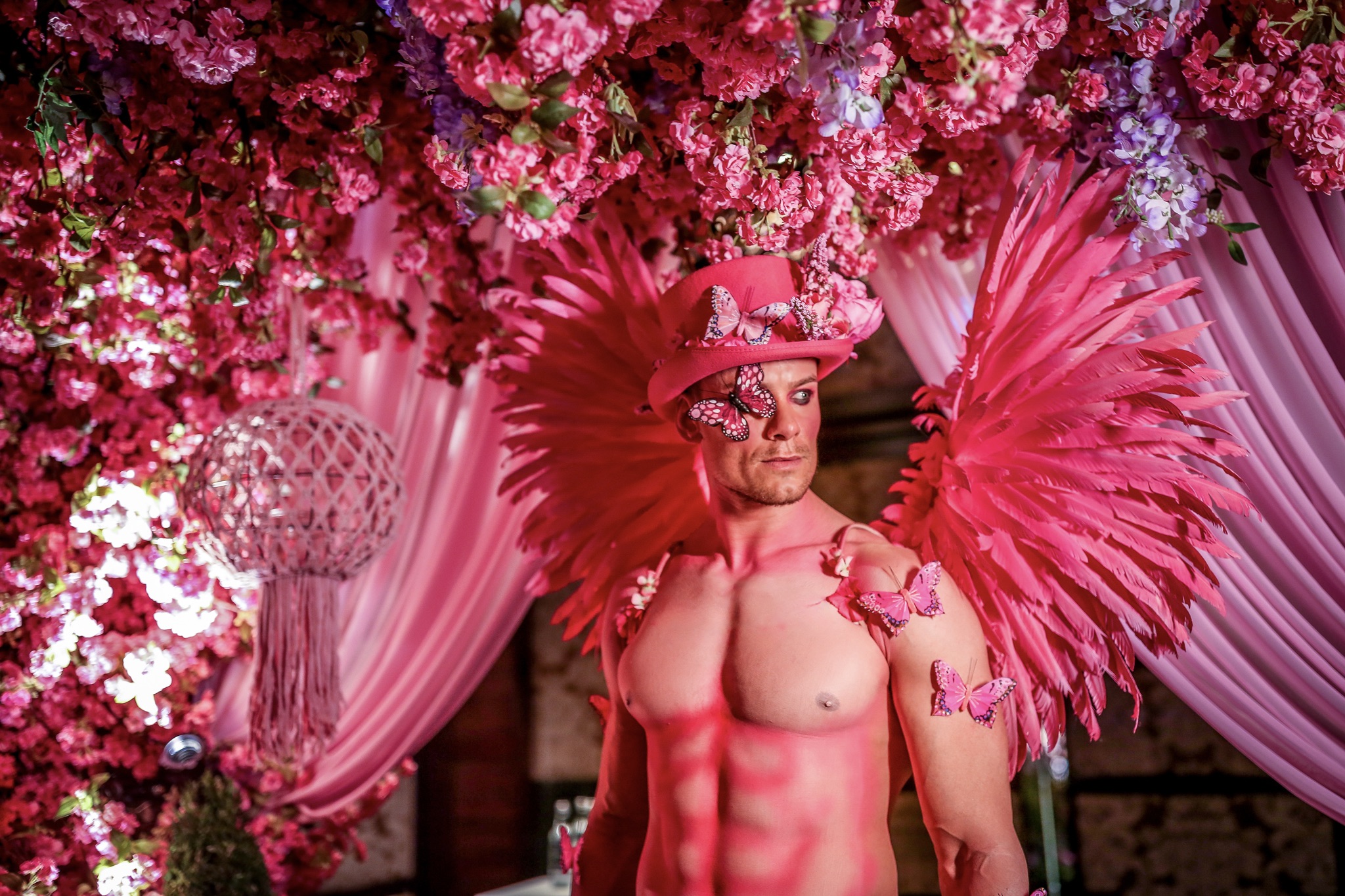 Muscular Pink Fairy with feathered wings A male physique model with body art and pink feather wings in a room draped with pink flowers