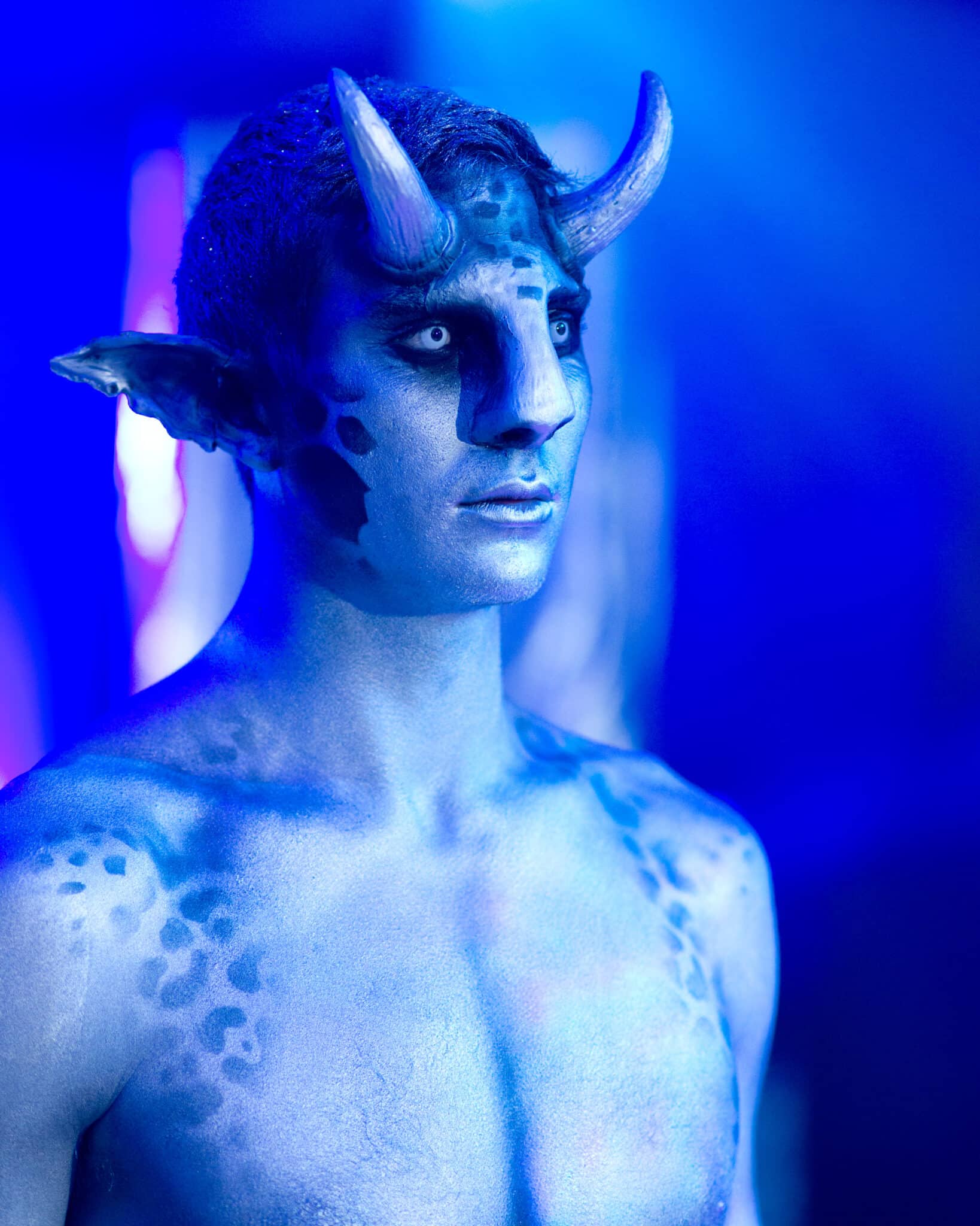 Narnia Winter Wonderland Christmas Party Entertainment Narnia Winter Wonderland Christmas Party Entertainment