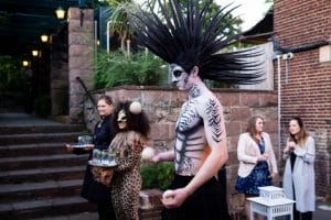 Zebrajuggler